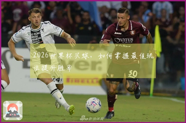 2026世界杯买球，如何掌握最佳玩法提升胜率