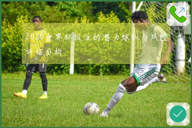 2026世界杯投注的潜力球队与风险评估分析