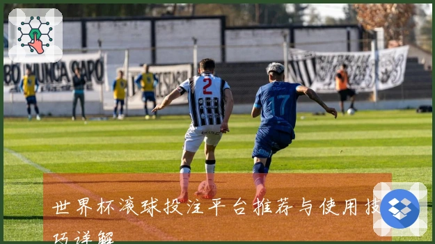 世界杯滚球投注平台推荐与使用技巧详解