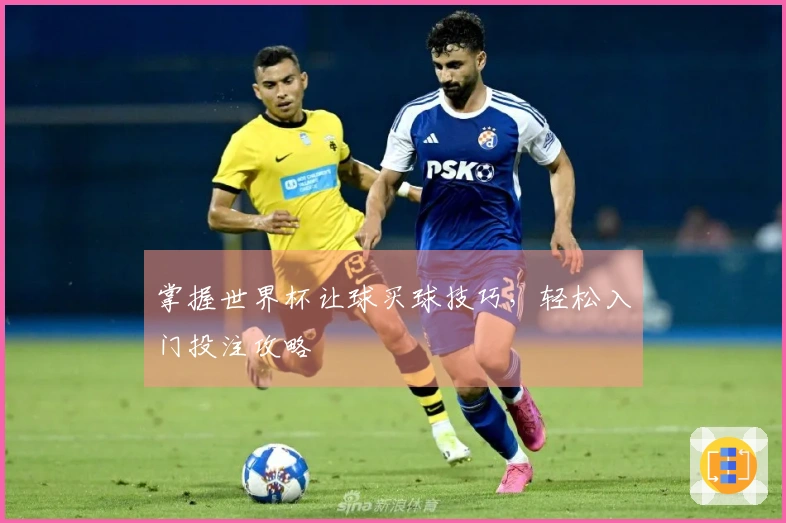掌握世界杯让球买球技巧，轻松入门投注攻略