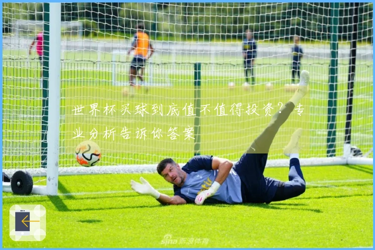 世界杯买球到底值不值得投资？专业分析告诉你答案