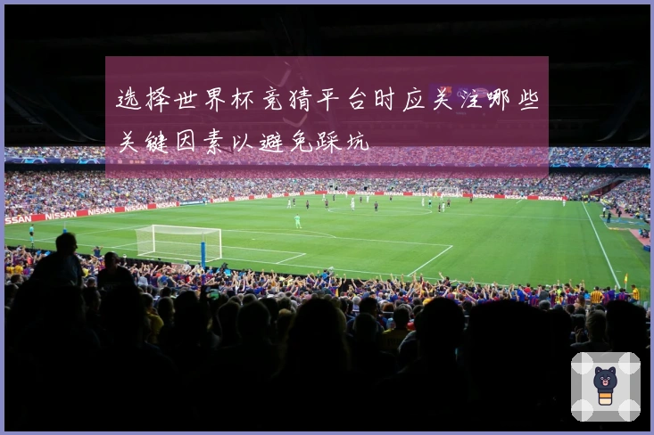 选择世界杯竞猜平台时应关注哪些关键因素以避免踩坑