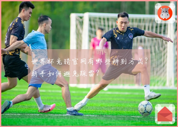 世界杯竞猜官网有哪些辨别方式？新手如何避免踩雷？