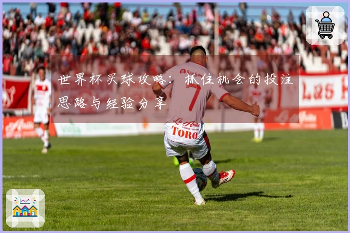 世界杯买球攻略：抓住机会的投注思路与经验分享