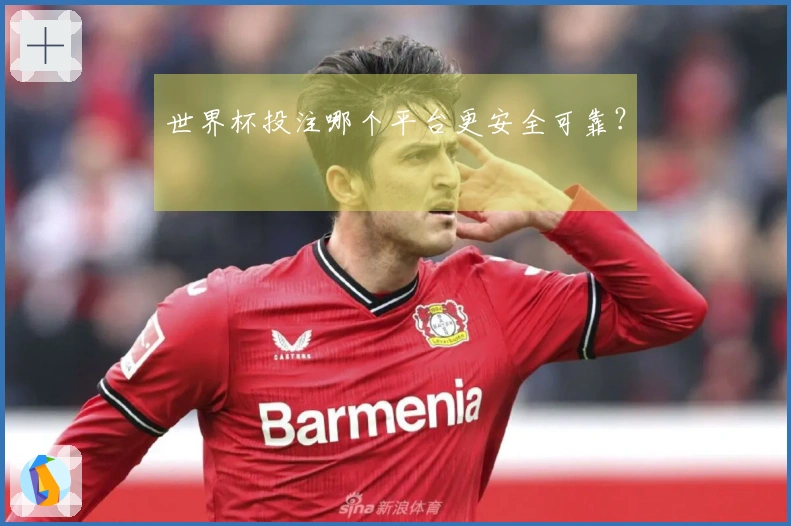 世界杯投注哪个平台更安全可靠？