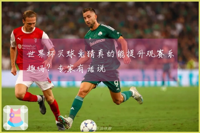 世界杯买球竞猜真的能提升观赛乐趣吗？专家有话说