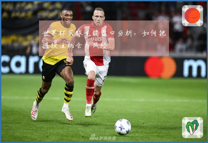 世界杯买球竞猜盘口分析，如何把握投注机会与风险