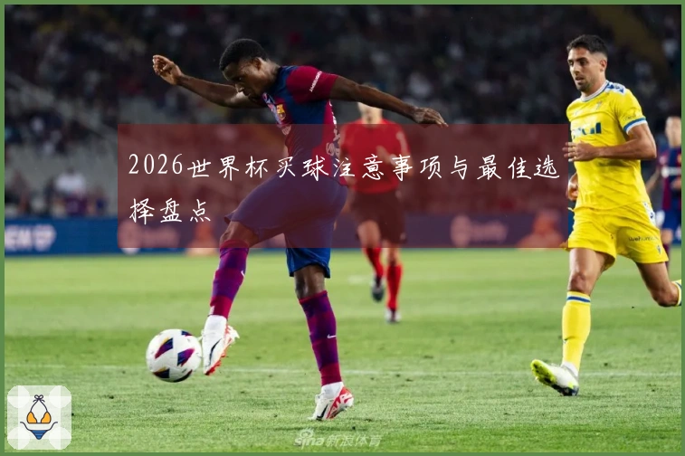 2026世界杯买球注意事项与最佳选择盘点