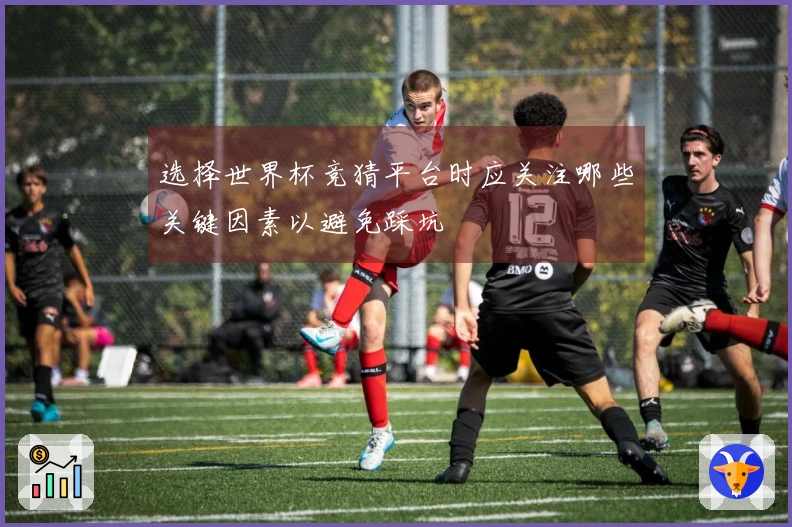选择世界杯竞猜平台时应关注哪些关键因素以避免踩坑