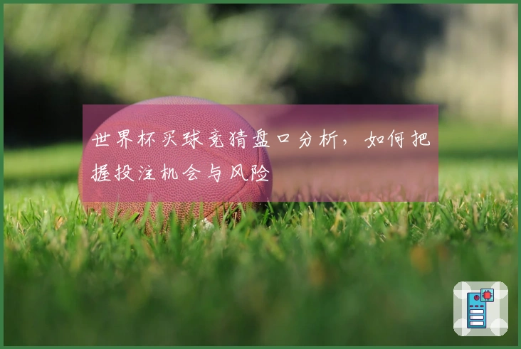 世界杯买球竞猜盘口分析，如何把握投注机会与风险