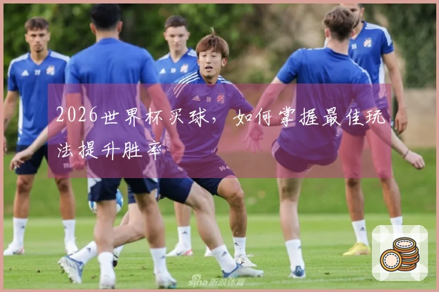 2026世界杯买球，如何掌握最佳玩法提升胜率